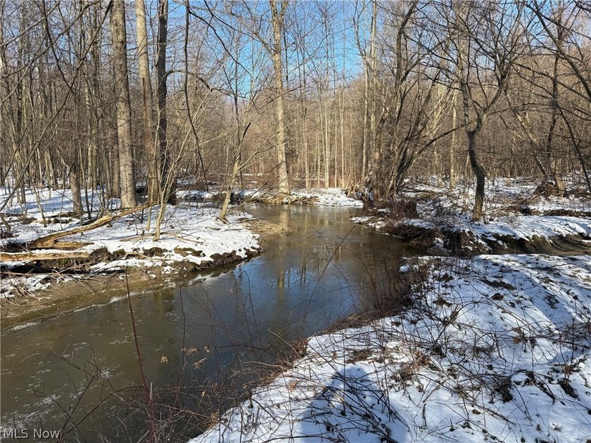 ATTENTION Hunters and Outdoor Enthusiasts!! Great Opportunity to - Beach Acreage for sale in Conneaut, Ohio on Beachhouse.com