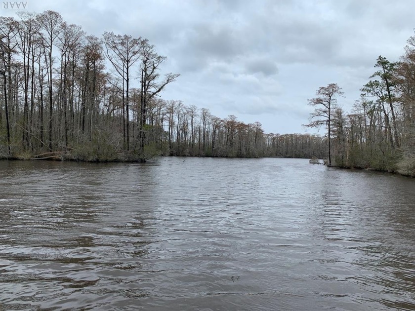This beautiful one acre lot sits along Middleton Creek in the - Beach Lot for sale in Edenton, North Carolina on Beachhouse.com