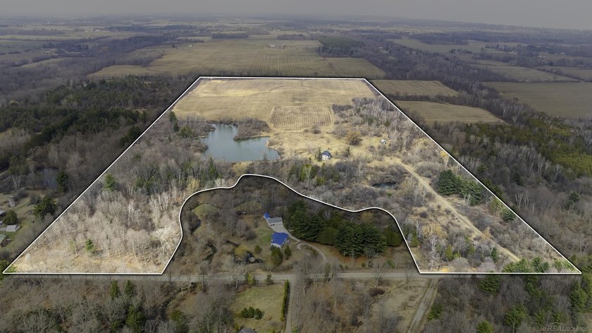 STUNNING 74.89 Acre PARCEL @ 6471 Burns Line Road! A spectacular - Beach Home for sale in Lexington, Michigan on Beachhouse.com