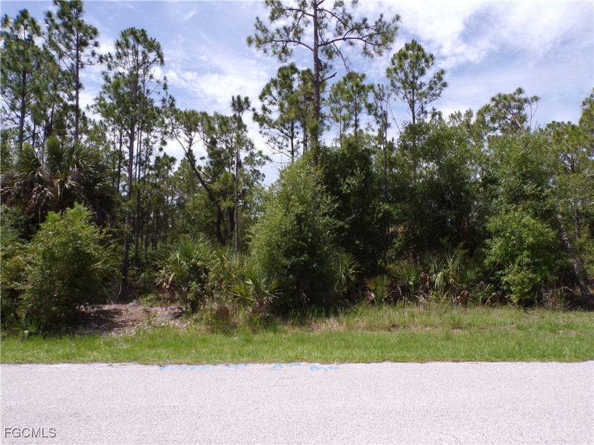 This lot is on a quiet street that would be a great place to - Beach Lot for sale in Punta Gorda, Florida on Beachhouse.com