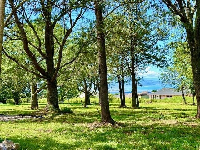 BUILD YOUR MAUI HOME HERE! New Developer Offering!  This is one - Beach Acreage for sale in Pukalani, Hawaii on Beachhouse.com