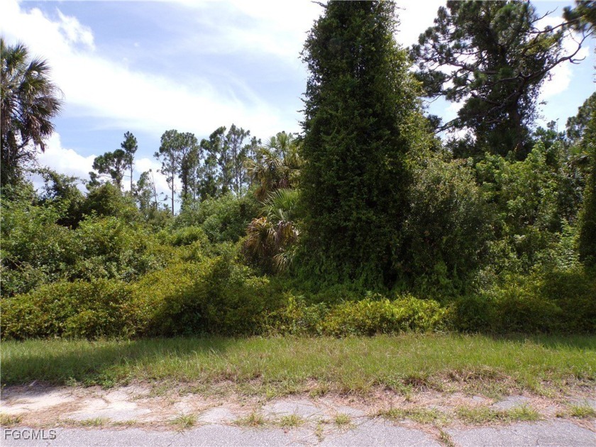 This lot is in the desirable Flood Zone X, this lot does not - Beach Lot for sale in North Port, Florida on Beachhouse.com