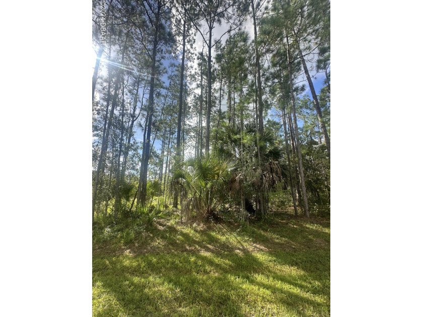 Location, Location, Location!!!!Gorgeous prime water front lot - Beach Lot for sale in Palm Coast, Florida on Beachhouse.com