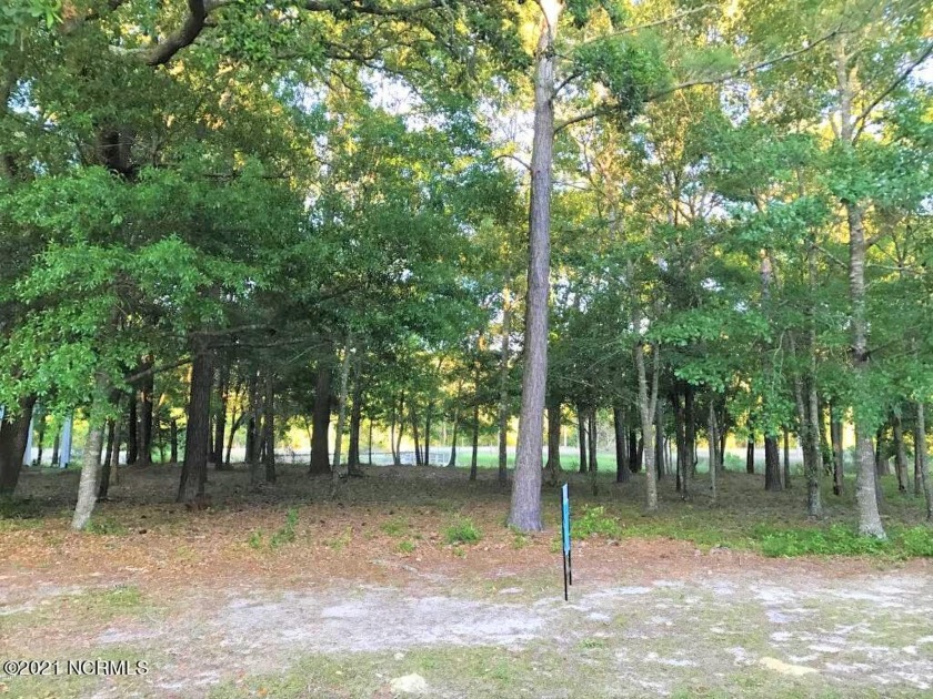 Beautiful lot overlooking Stanburry creek in the very well - Beach Lot for sale in Supply, North Carolina on Beachhouse.com