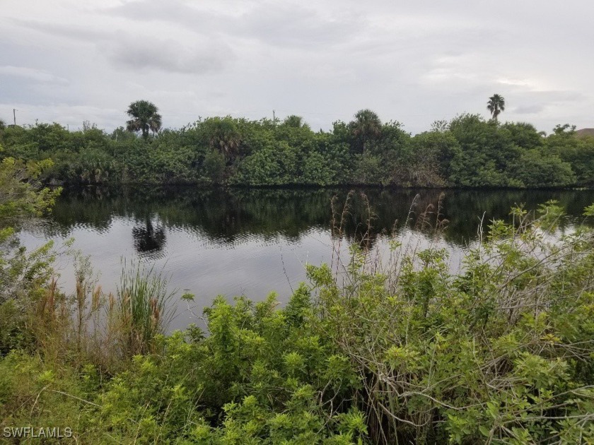 This is a FABULOUS oversized pie shape lot with pretty water - Beach Lot for sale in Cape Coral, Florida on Beachhouse.com