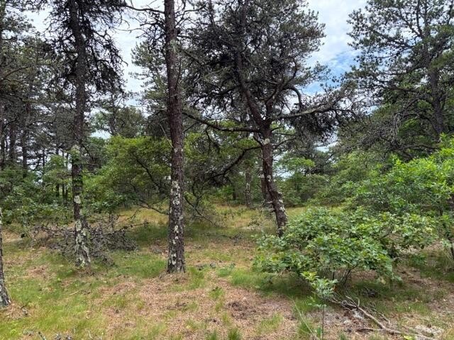 RESIDENTIAL WOODED BUILDING LOT- Bring your architect/builder to - Beach Lot for sale in North Truro, Massachusetts on Beachhouse.com