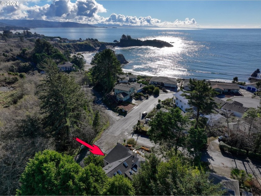 Walk down the tree lined lane and explore the ever changing - Beach Home for sale in Brookings, Oregon on Beachhouse.com