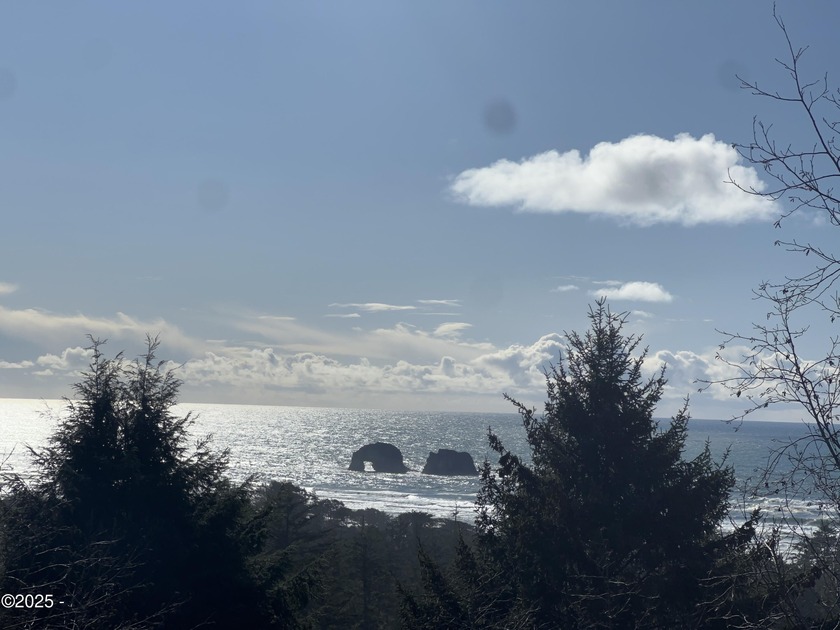 This lot has amazing ocean view potential, ready for your - Beach Lot for sale in Rockaway Beach, Oregon on Beachhouse.com