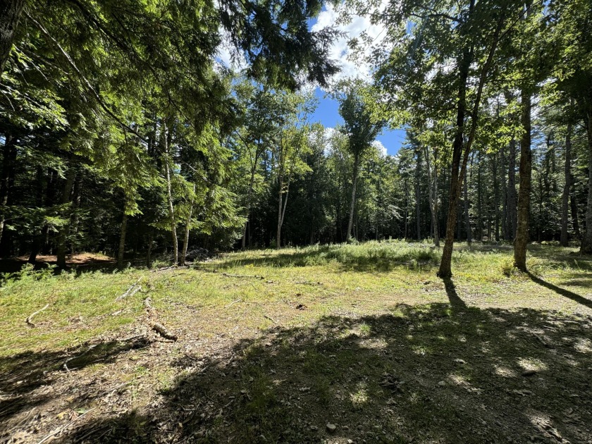 Find your new building lot here on Elijah Lane. This 3.6 acre - Beach Acreage for sale in Orland, Maine on Beachhouse.com