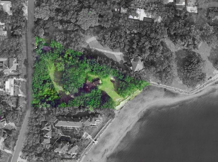 Nestled along the prestigious Bayshore Blvd in South Tampa, this - Beach Home for sale in Tampa, Florida on Beachhouse.com