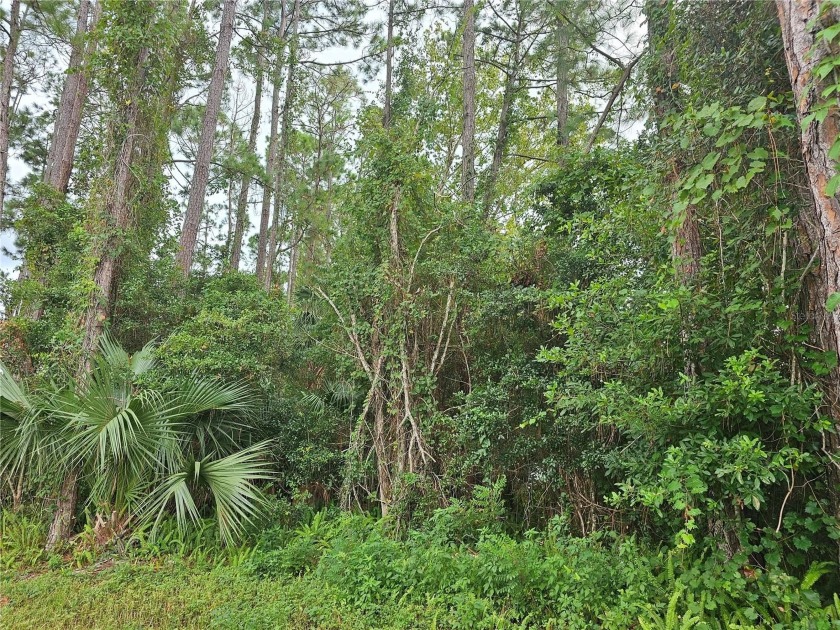 Discover your dream home site on this beautiful waterfront lot - Beach Lot for sale in Palm Coast, Florida on Beachhouse.com