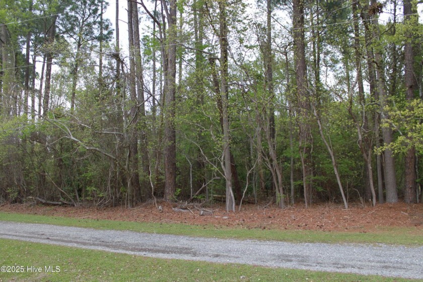 Double lot in waterfront community ready for you to call home - Beach Lot for sale in Edenton, North Carolina on Beachhouse.com