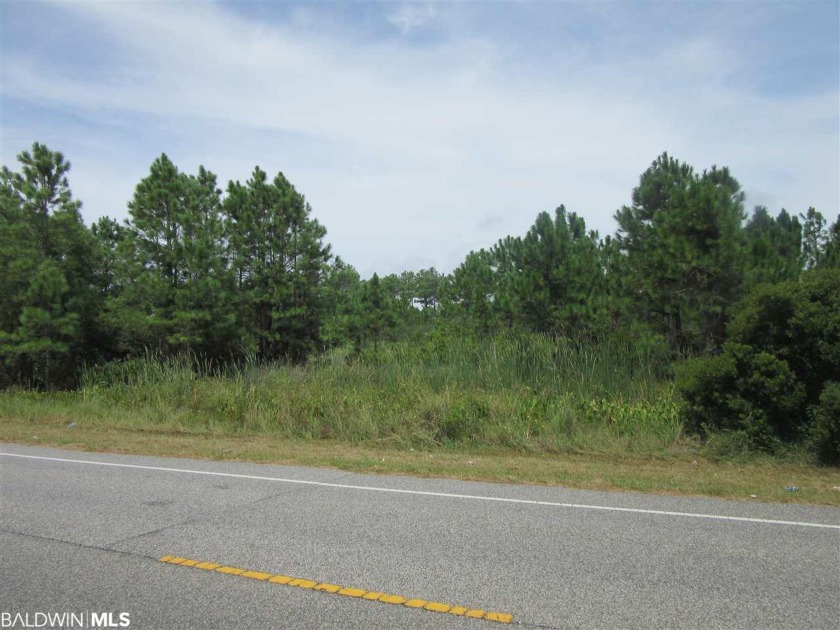 AFFORDABLE LOT! Located on Highway 180 West with short walk/golf - Beach Acreage for sale in Gulf Shores, Alabama on Beachhouse.com