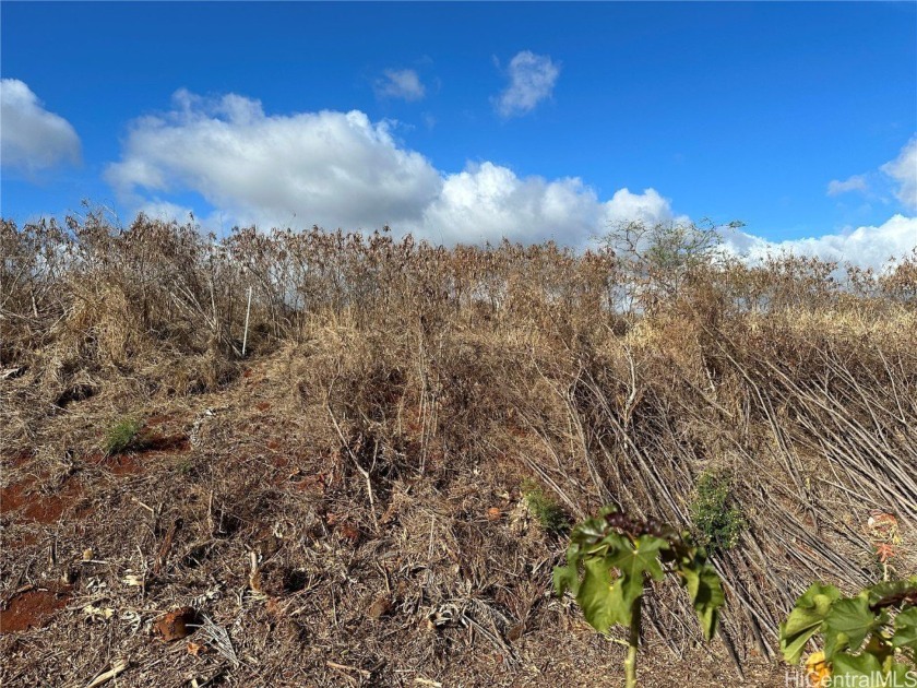Portion for sale in Unit 10 of The Meadows At Royal Kunia - Beach Acreage for sale in Waipahu, Hawaii on Beachhouse.com