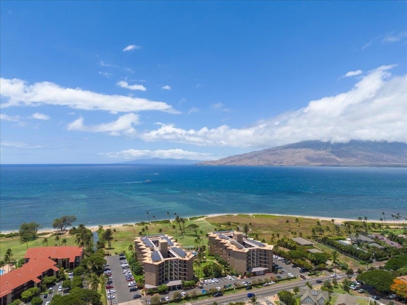 Location, Location, Location! This old adage could not be more - Beach Condo for sale in Kihei, Hawaii on Beachhouse.com