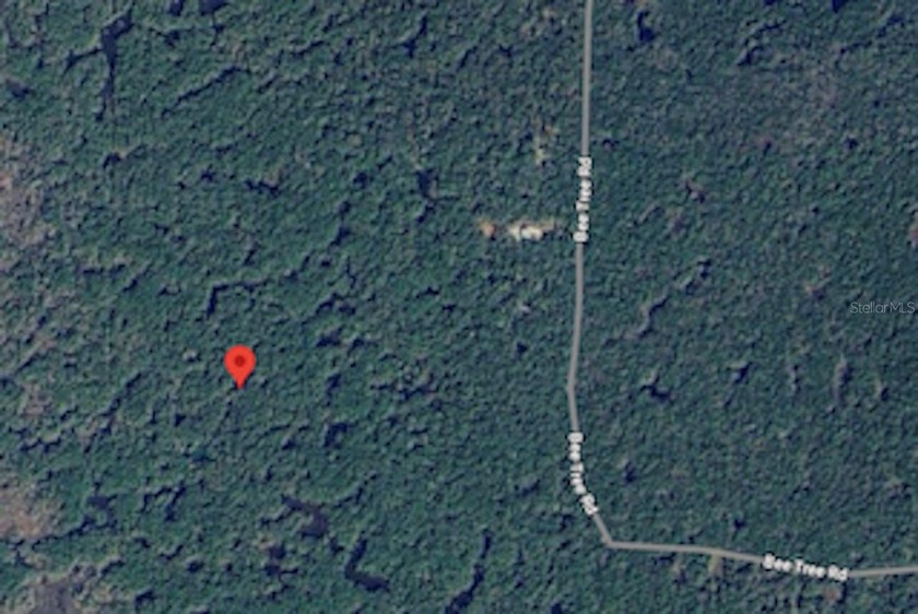 ***PRIME HUNTING LAND***  20 acres of prime land in the heart of - Beach Acreage for sale in Gulf Hammock, Florida on Beachhouse.com