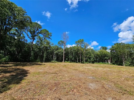 PRICE REDUCTION! Owner says lets get it sold! OWNER WIL ALSO - Beach Acreage for sale in Bunnell, Florida on Beachhouse.com