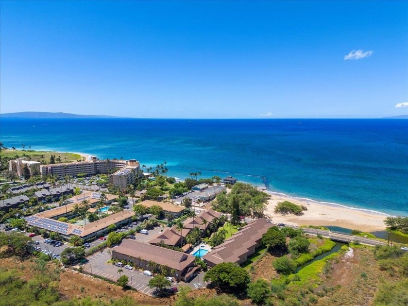 Welcome to Kihei Bay Vista C206, a delightful retreat just steps - Beach Condo for sale in Kihei, Hawaii on Beachhouse.com