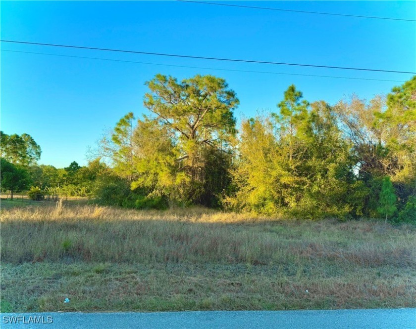 GREAT LOCATION BACKED TO CANAL on a quiet paved street with - Beach Lot for sale in Lehigh Acres, Florida on Beachhouse.com