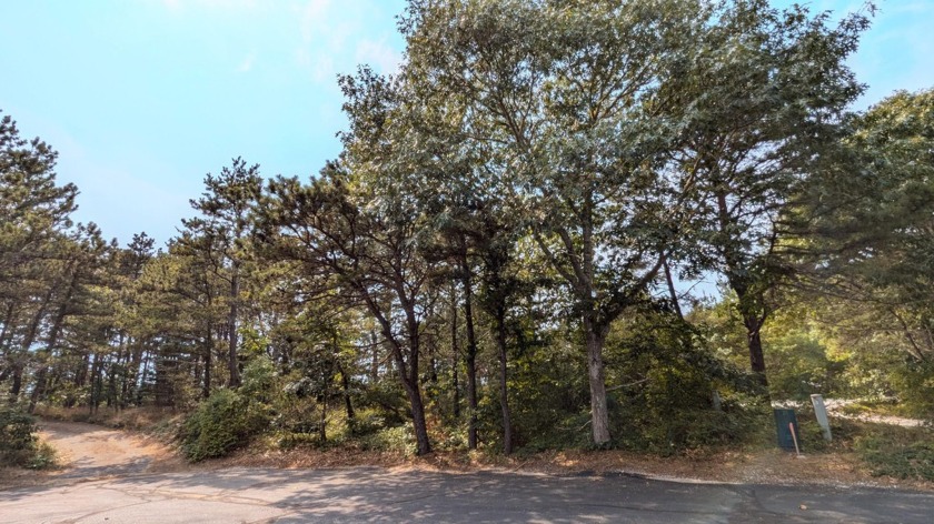 Rare Opportunity to Build your dream home in South Truro! This 3 - Beach Lot for sale in Truro, Massachusetts on Beachhouse.com