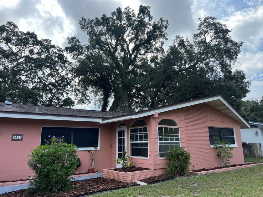 HIGH AND DRY and NEW to the market, this very rare, highly - Beach Home for sale in Dunedin, Florida on Beachhouse.com