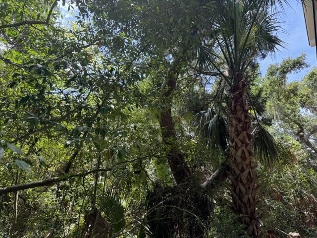 Best price on one of the largest lots over .53 ac, on Oristo - Beach Lot for sale in Edisto Island, South Carolina on Beachhouse.com