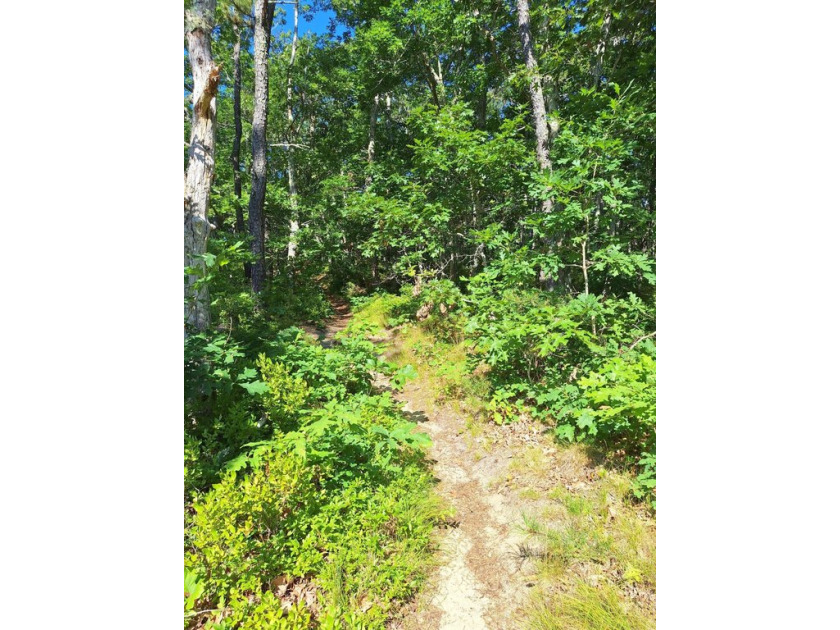 Not enough homes for sale? Why not builde see Lot #8 which is a - Beach Lot for sale in Wellfleet, Massachusetts on Beachhouse.com