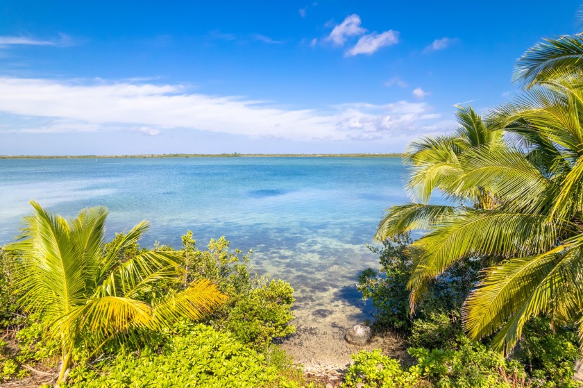 Incomparable emerald water views on the shore of Ramrod Key. No - Beach Lot for sale in Ramrod Key, Florida on Beachhouse.com