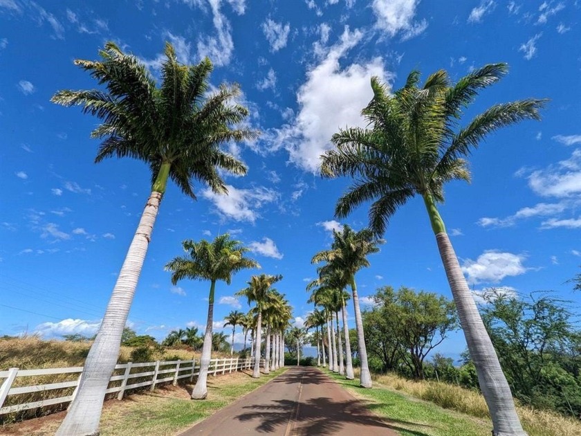 More than 5 prime acres with spectacular bi-coastal views - Beach Acreage for sale in Kula, Hawaii on Beachhouse.com