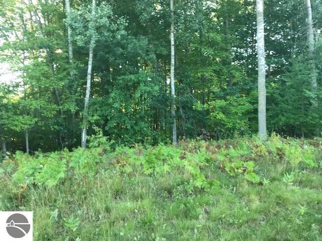 A nearly acre wooded lot with 100' of road frontage and 400' of - Beach Lot for sale in Tawas City, Michigan on Beachhouse.com
