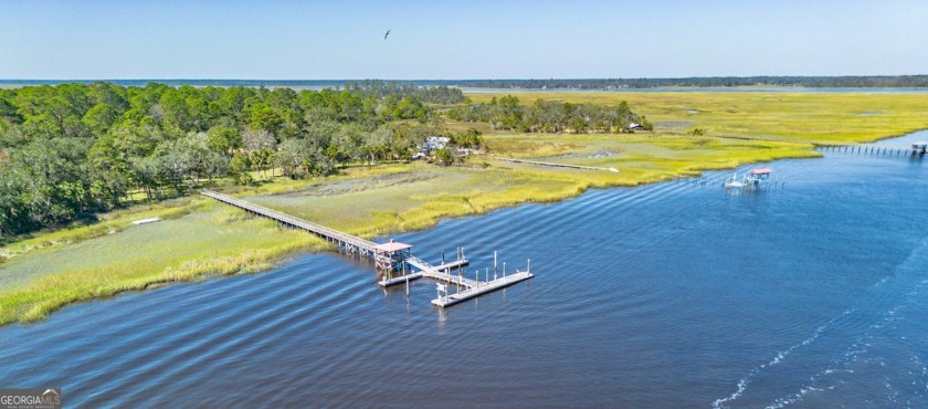 Welcome to a truly exceptional slice of paradise-this stunning - Beach Home for sale in Brunswick, Georgia on Beachhouse.com