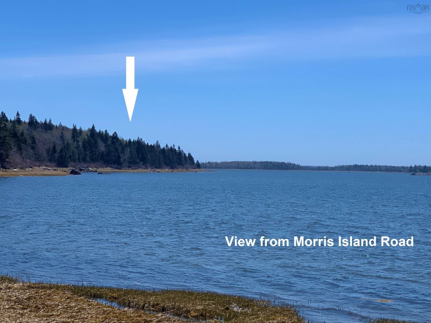 Wooded Lot +/- 20 acres with a tidal water frontage on Eastern - Beach Acreage for sale in Morris Island,  on Beachhouse.com