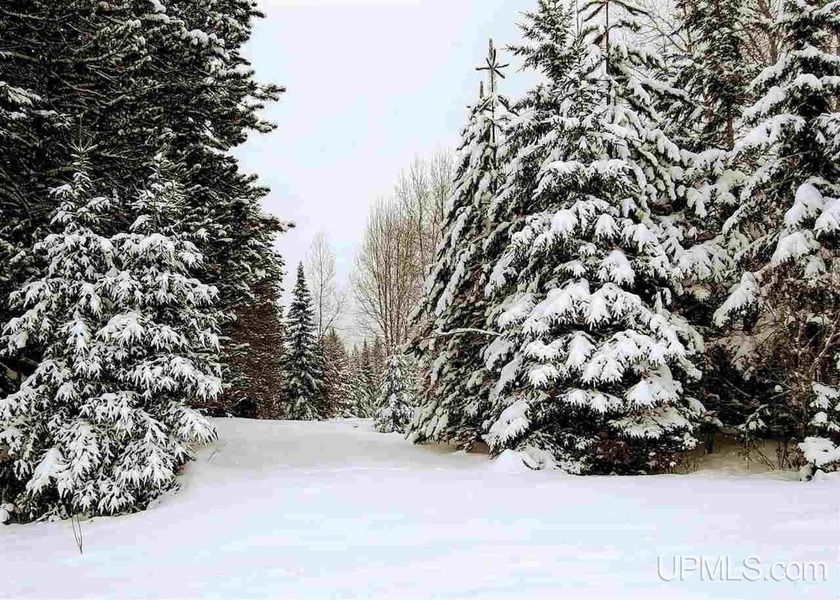 This dynamic 40-acre parcel would make an incredible hunting or - Beach Acreage for sale in Baraga, Michigan on Beachhouse.com