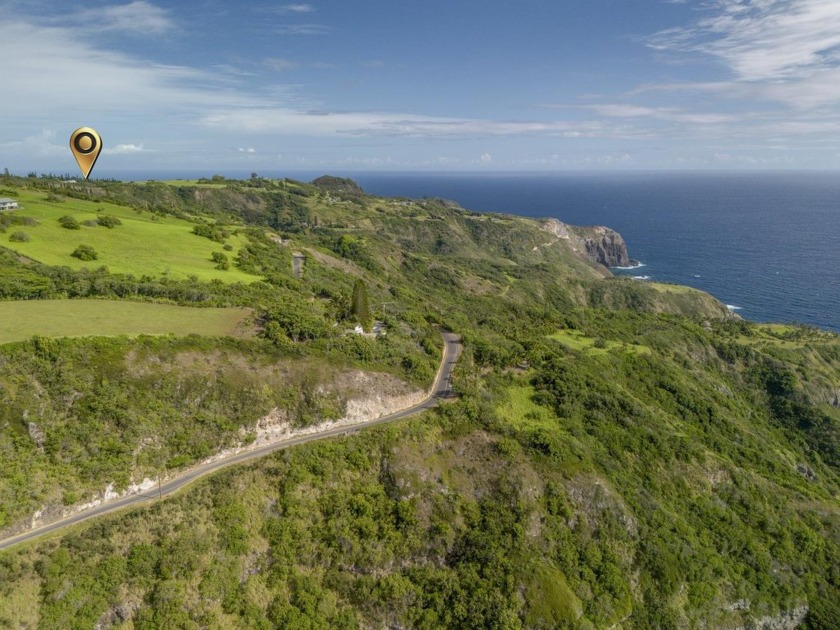 If you appreciate a scenic drive, this is the place for you - Beach Home for sale in Wailuku, Hawaii on Beachhouse.com