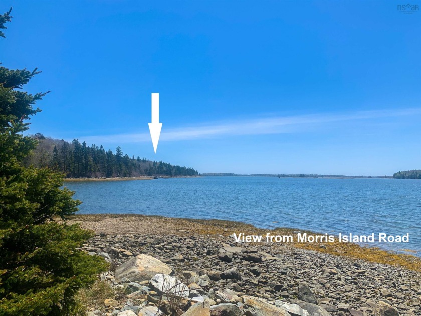 Wooded lot +/- 6.60 acres with a tidal water frontage on Eastern - Beach Acreage for sale in Morris Island,  on Beachhouse.com