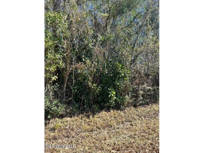 Vacant lot located close to downtown Ocean Springs and I10. Lot - Beach Lot for sale in Ocean Springs, Mississippi on Beachhouse.com