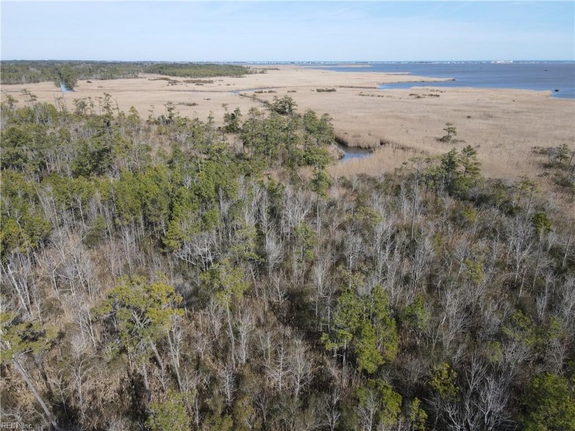 This is a wooded 8.13-acre lot that backs up to the Back Bay - Beach Acreage for sale in Virginia Beach, Virginia on Beachhouse.com