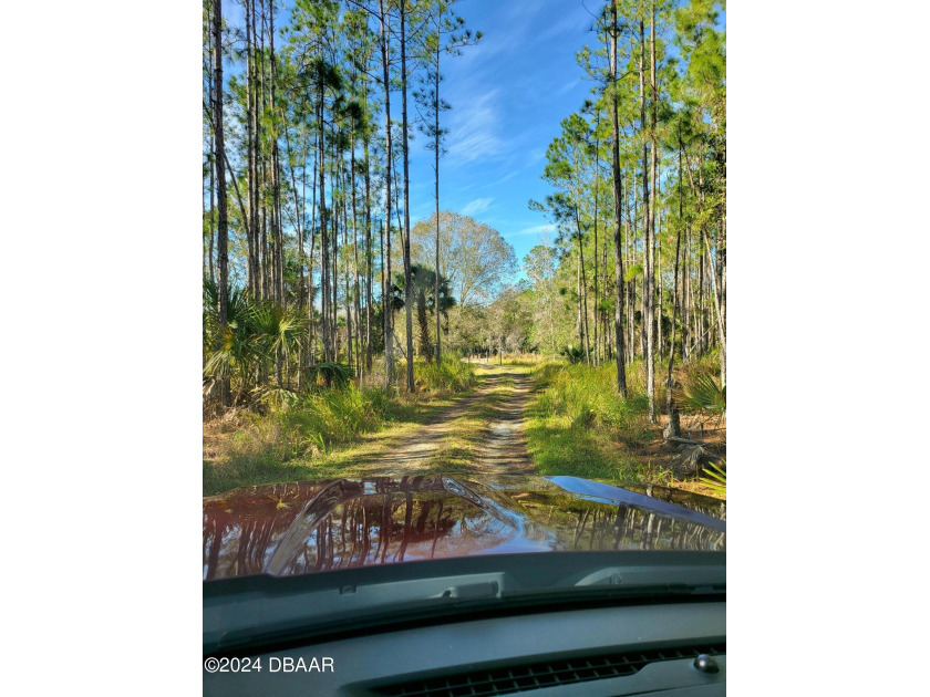 This 5 acres is close to everything in NSB.
4 Parcels non - Beach Acreage for sale in New Smyrna Beach, Florida on Beachhouse.com