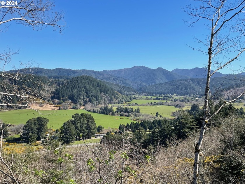 97 Acres Overlooking the Serene Elk River Valley! The homesite - Beach Acreage for sale in Port Orford, Oregon on Beachhouse.com