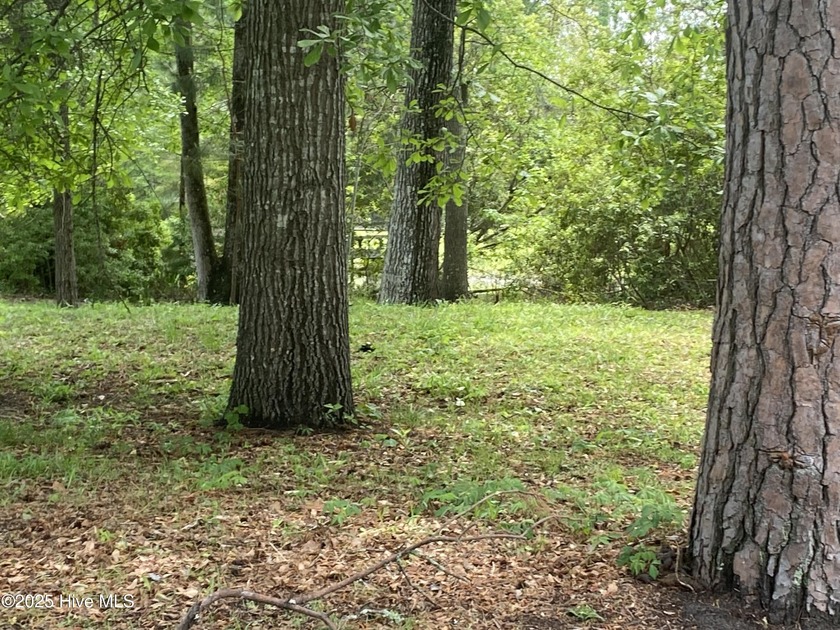 Great Homesite located in Olde Towne subdivision near Historic - Beach Lot for sale in New Bern, North Carolina on Beachhouse.com