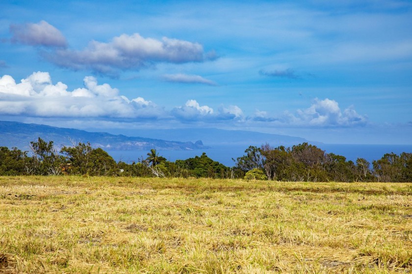 Location  Views! Imagine waking up to a crisp, clean breeze - Beach Acreage for sale in Makawao, Hawaii on Beachhouse.com