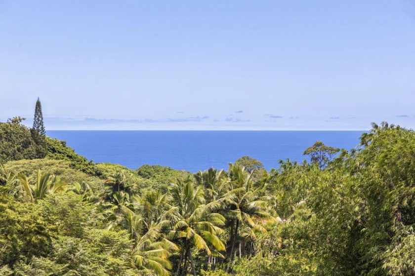 Experience stunning ocean views paired with a majestic mountain - Beach Home for sale in Hana, Hawaii on Beachhouse.com