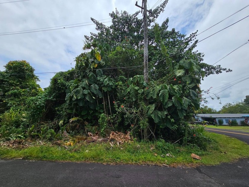 REDUCED. Vacant corner lot near the bottom of Hawaiian Beaches - Beach Lot for sale in Pahoa, Hawaii on Beachhouse.com