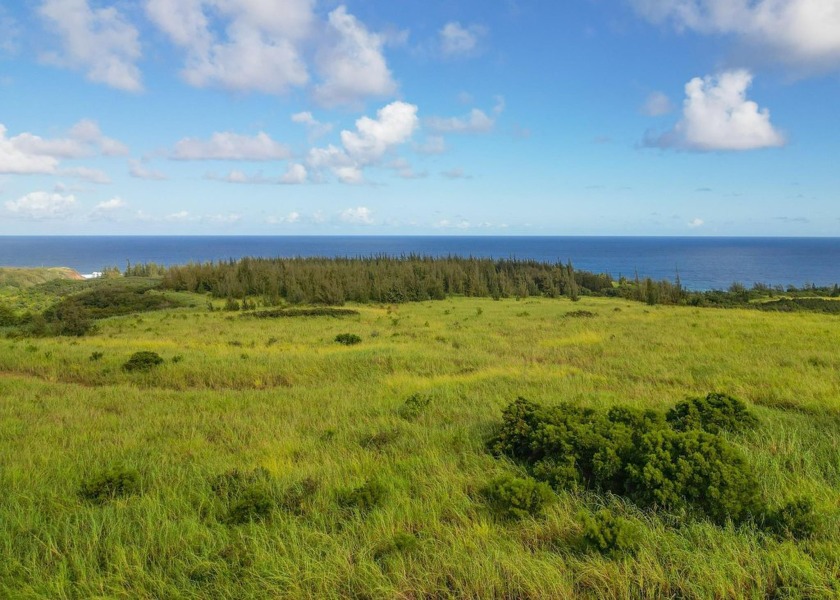 Stunning Property for Sale in Haiku* Discover your dream oasis - Beach Home for sale in Haiku, Hawaii on Beachhouse.com