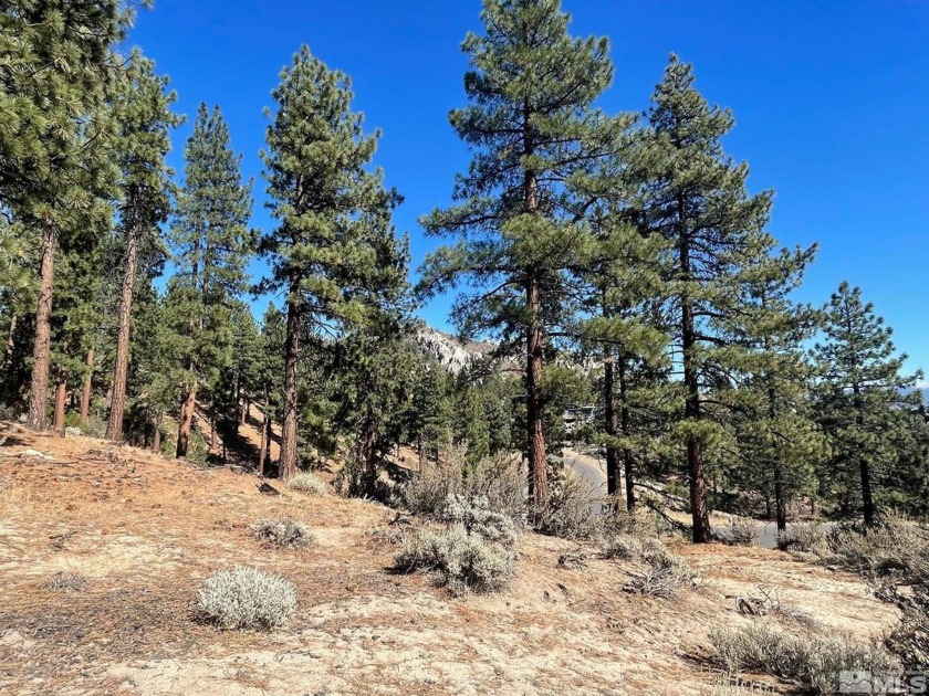 Build the home of your dreams on one of the most dramatic home - Beach Acreage for sale in Carson City, Nevada on Beachhouse.com