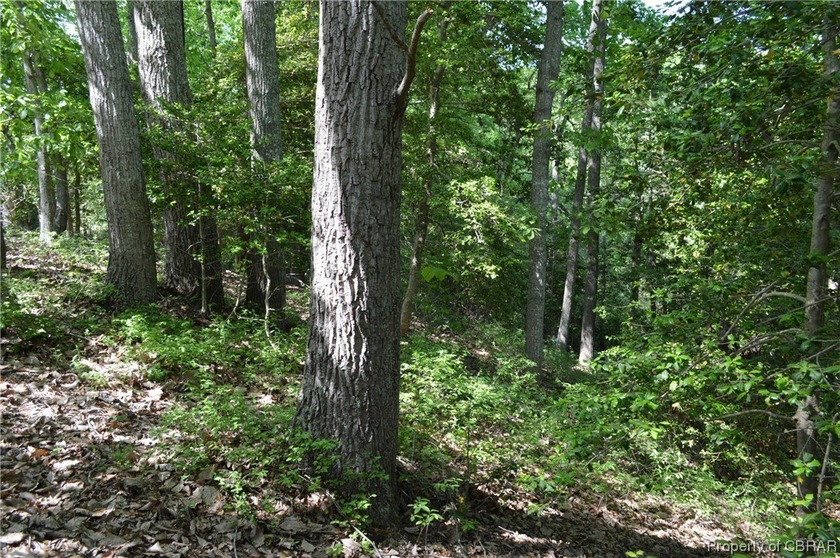 Beautiful elevated lot in Betz Landing with great building site - Beach Acreage for sale in Heathsville, Virginia on Beachhouse.com