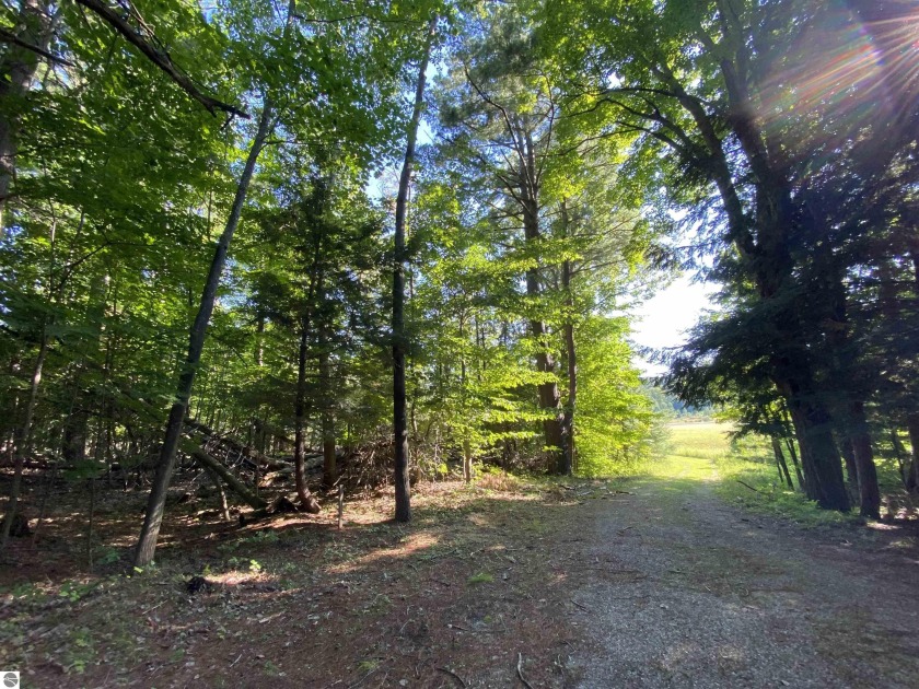 Beautifully wooded lot in a quiet neighborhood along Shetland - Beach Acreage for sale in Maple City, Michigan on Beachhouse.com