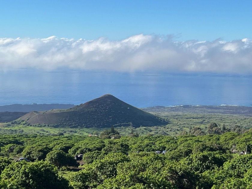 PANORAMIC VISTA, PEACEFUL AND PRIVATE 12 acres in Upper Kanaio - Beach Acreage for sale in Kula, Hawaii on Beachhouse.com