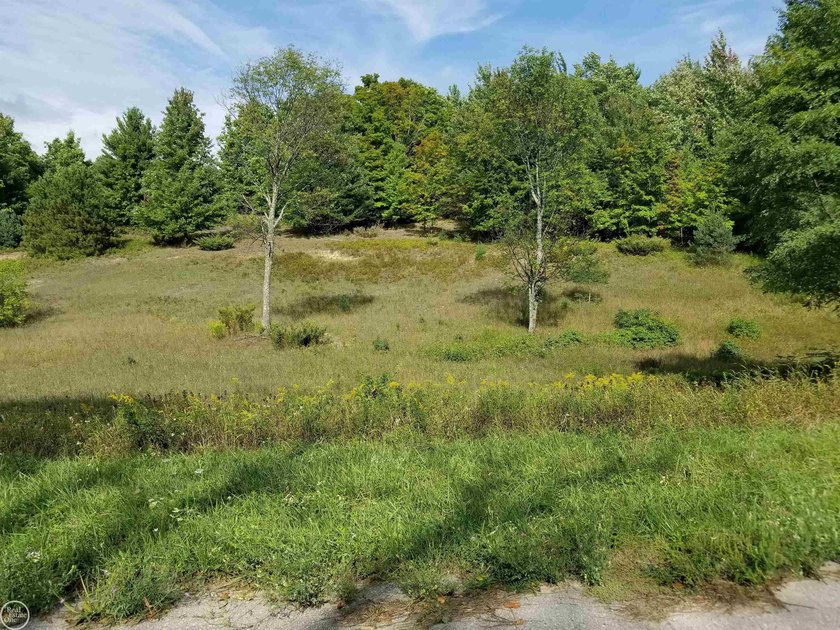 Build your dream home on this beautiful 2.11-acre parcel in - Beach Acreage for sale in Maple City, Michigan on Beachhouse.com
