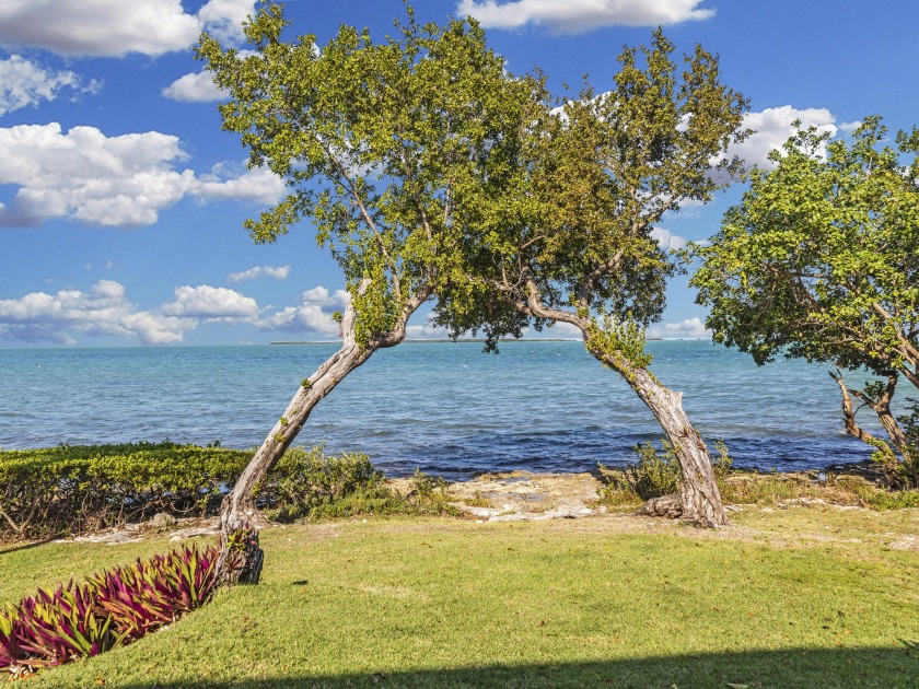 BAYFRONT! BUTTONWOOD BAY!BREATHTAKING VIEWS OF THE FL BAY.Very - Beach Townhome/Townhouse for sale in Key Largo, Florida on Beachhouse.com